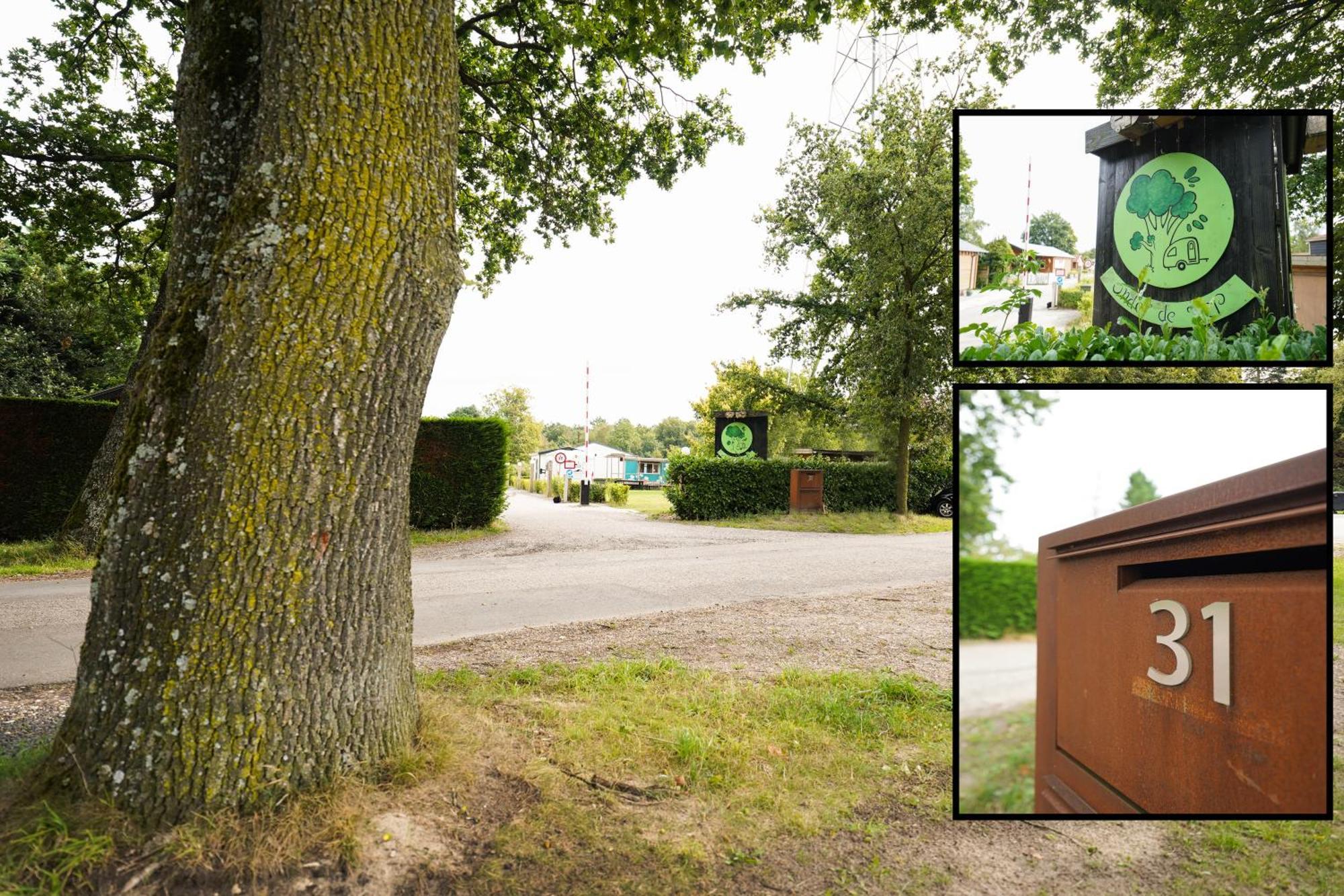 Luxe Lodge 'Bold' Nabij Bos En Veluwemeer - 4 Pers Ermelo Exterior foto